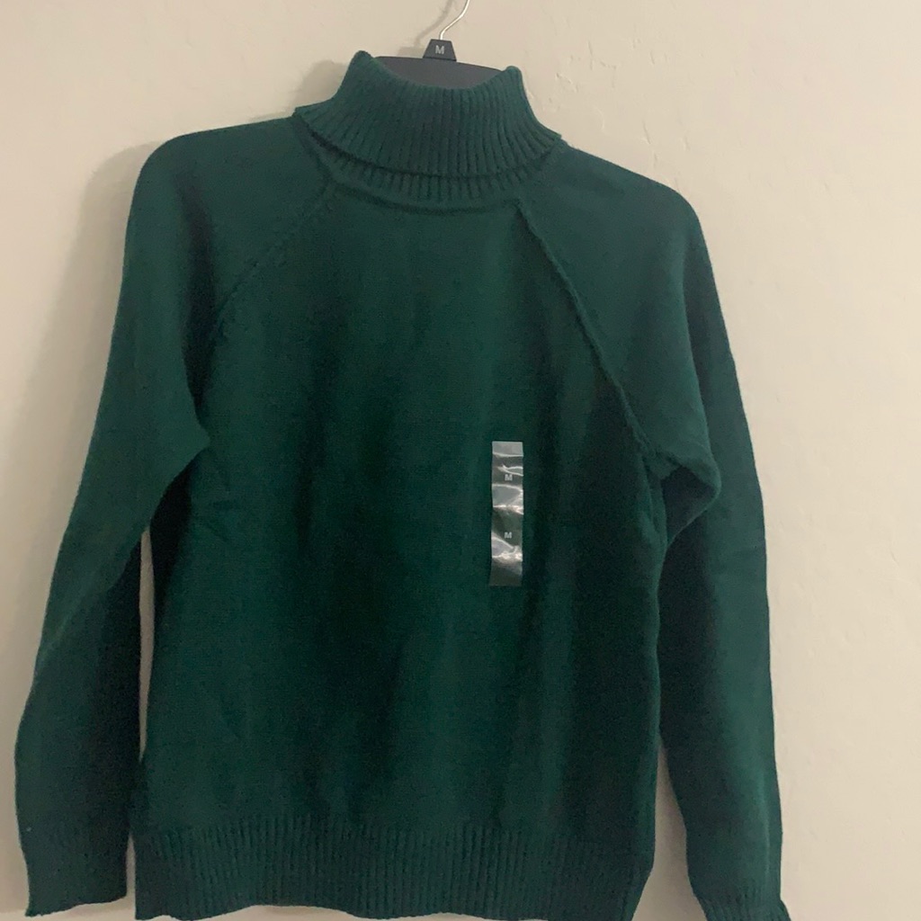 Solid Turtle Neck